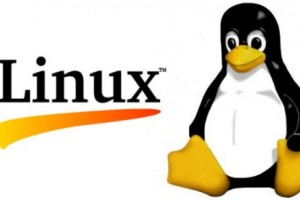 linux-1.jpg